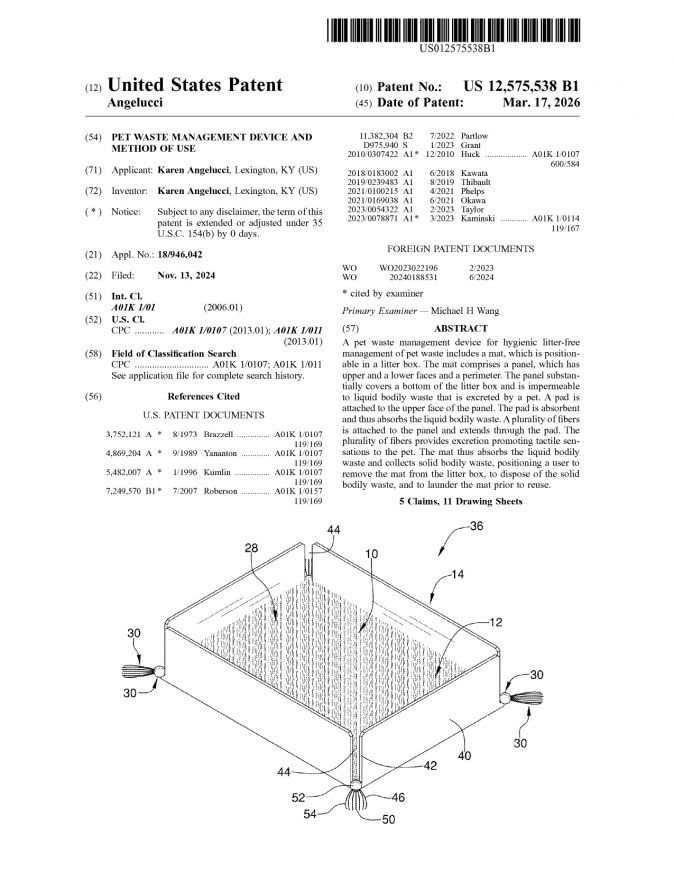 Us12575538b1 Page 0001